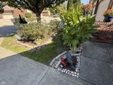 657 Cielo Vista Drive - Photo 4