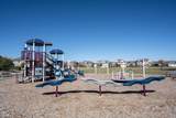 15147 Brownspring Drive - Photo 46