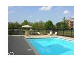 8681 Jaffa Court Drive - Photo 41