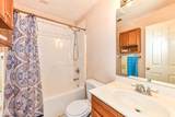 9123 Tansel Park Court - Photo 23
