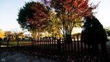 7114 10th Street - Photo 32