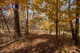 583 Old Moore Lane - Photo 56