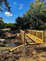 14234 Coyote Ridge - Photo 14