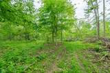 Tract 5 Hudson Hill Road - Photo 11