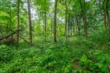 Tract 5 Hudson Hill Road - Photo 8