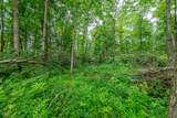 Tract 7 Hudson Hill Road - Photo 13