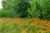 Tract 8 Hudson Hill Road - Photo 7