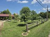 3301 550 - Photo 5