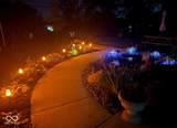 3301 550 - Photo 45