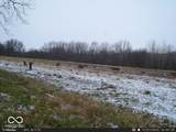 0 575 - Photo 26