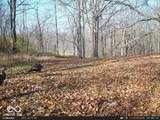 0 575 - Photo 28