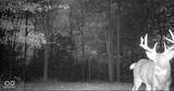 0 575 - Photo 57