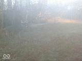 0 575 - Photo 58