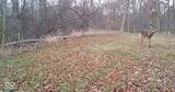 0 575 - Photo 60