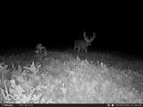 0 575 - Photo 62