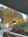 5808 County Road 150 - Photo 12