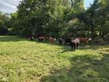 2691 County Road 190 - Photo 55