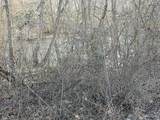 0 Baltimore Road - Photo 2