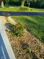 331 Thompson Road - Photo 8