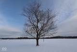 6303 New Bethel Road - Photo 39