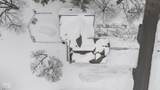 5861 75 - Photo 47