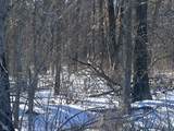 0 1300 South - Photo 19