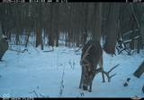 0 1300 South - Photo 20
