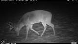 0 1300 South - Photo 21