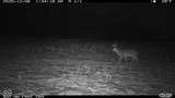 0 1300 South - Photo 22