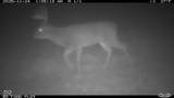0 1300 South - Photo 23