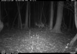 0 1300 South - Photo 24