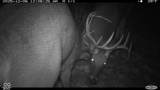 0 1300 South - Photo 25