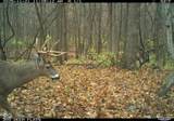 0 1300 South - Photo 26