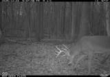 0 1300 South - Photo 27