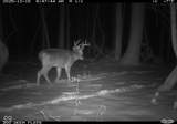 0 1300 South - Photo 29