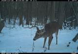 0 1300 South - Photo 30
