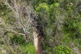 TBD Awbrey West Road - Photo 10