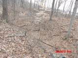 6850 County Road 25 - Photo 11
