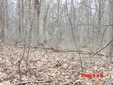 6850 County Road 25 - Photo 12