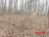 6850 County Road 25 - Photo 14