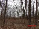 6850 County Road 25 - Photo 16