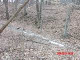 6850 County Road 25 - Photo 7