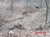 6850 County Road 25 - Photo 8