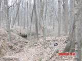 6850 County Road 25 - Photo 9