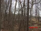 6850 County Road 25 - Photo 10