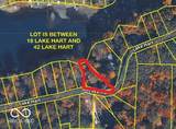 14 Lake Hart - Photo 1