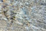 3701 German Church Road - Photo 9