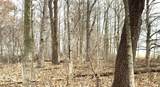 300 North - Photo 4