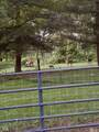 9575 West Washington School Road - Photo 42