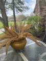 9093 Cinnebar Drive - Photo 27